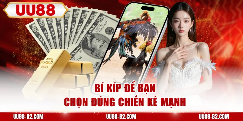 Bí kíp để bạn chọn đúng chiến kê mạnh