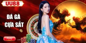 Đá gà cựa sắt