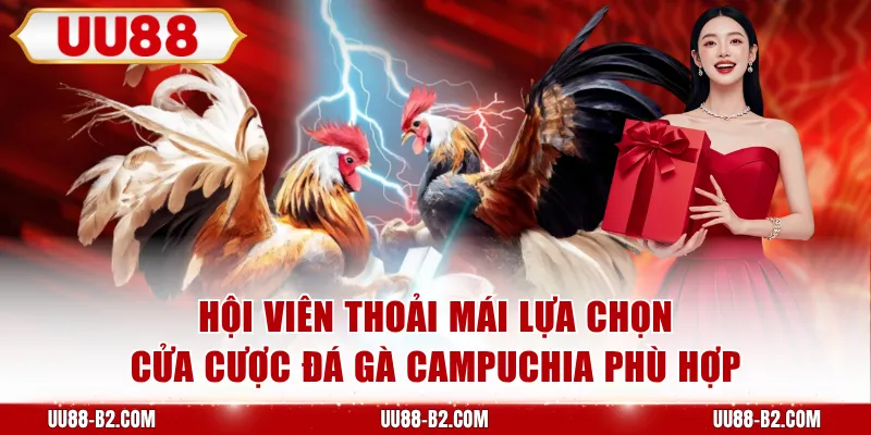 Hội viên thoải mái lựa chọn cửa cược đá gà Campuchia phù hợp