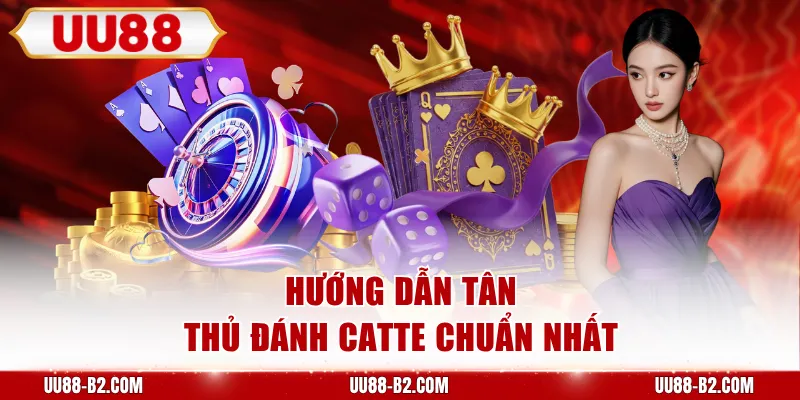 Hướng dẫn tân thủ đánh Catte chuẩn nhất