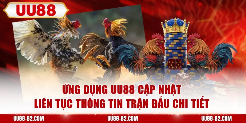 Ứng dụng UU88 cập nhật liên tục thông tin trận đấu chi tiết