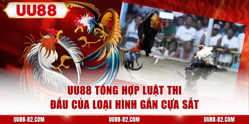 UU88 tổng hợp luật thi đấu của loại hình gắn cựa sắt